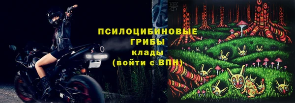 гидропоника Абаза
