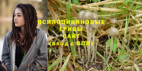 соль ск Абинск
