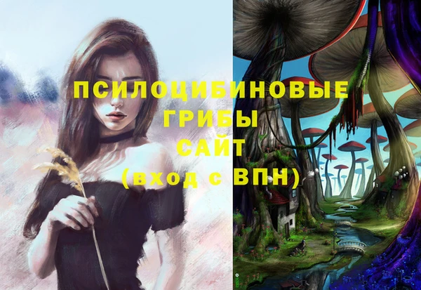 гидропоника Абаза