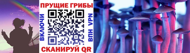 магазин  наркотиков  Исилькуль  Галлюциногенные грибы ЛСД 